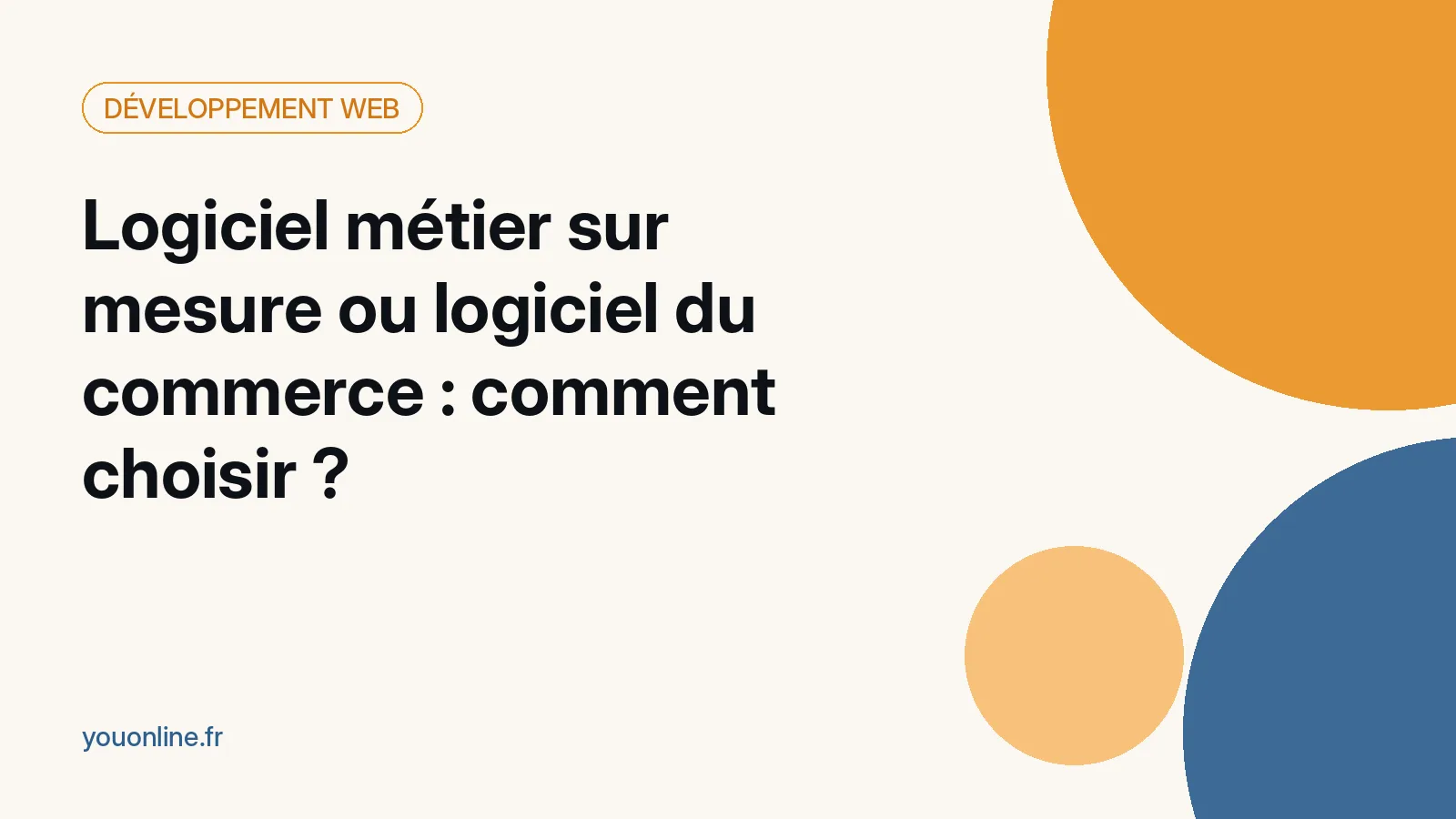 Logiciel métier sur mesure ou logiciel du commerce : comment choisir ?